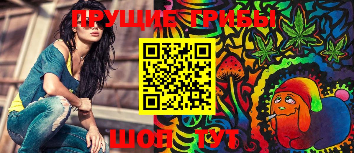 Балахна  Галлюциногенные грибы Cubensis  Вход с VPN 