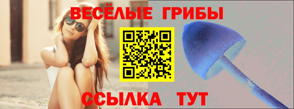 Галлюциногенные грибы мицелий Балахна